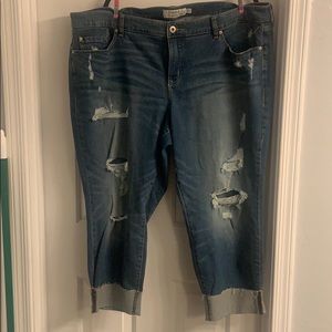 Torrid boyfriend crop pants